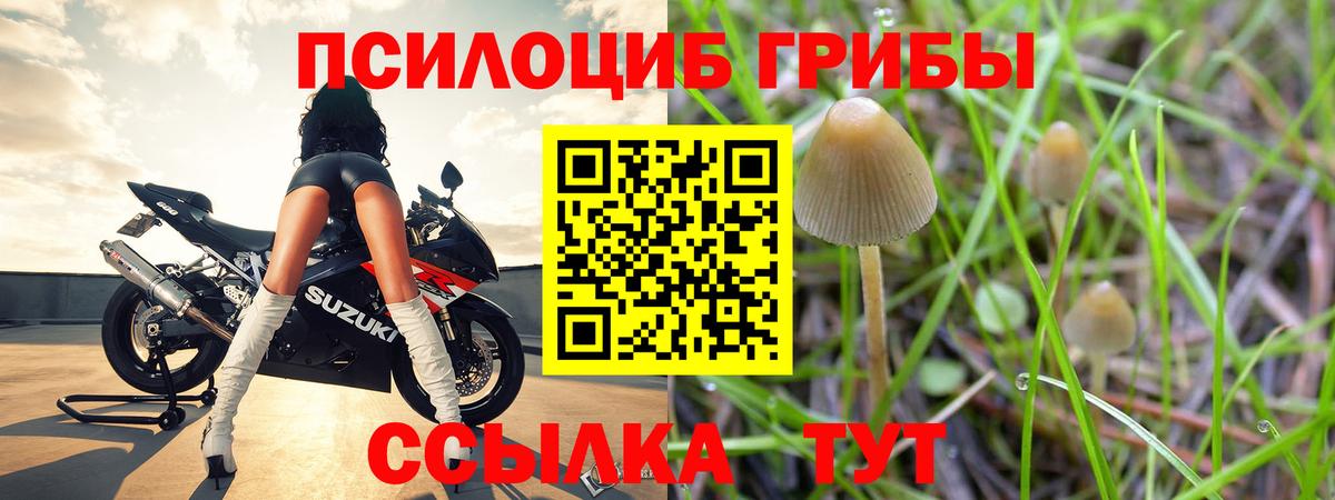 Кирово-Чепецк  Псилоцибиновые грибы ЛСД  Вход с VPN 